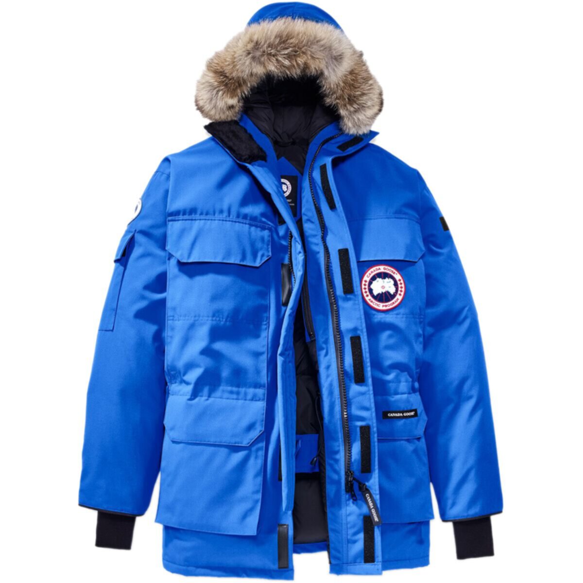 Canada Goose Polar Bears International Expedition Down Parka